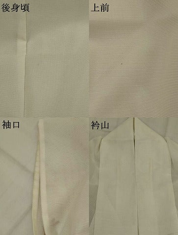 平和屋着物*夏物 訪問着 絽 舞蝶文 洗える着物 AABL6305st