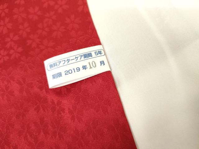 平和屋着物●豪華振袖 草花文 暈し染め 正絹 逸品 AABL6502cs