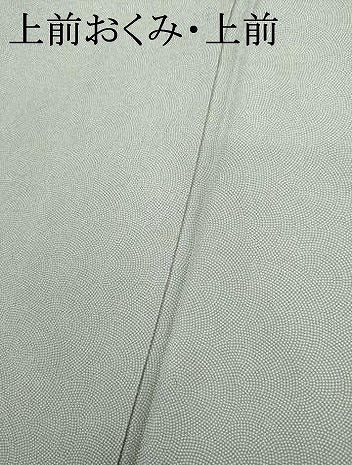 平和屋着物●江戸小紋 極小鮫小紋柄 ますいわ屋扱い 正絹 逸品 AABL7739cs