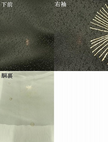 平和屋着物●訪問着 熨斗花文 黒地 金彩 正絹 逸品 AABL8102fy