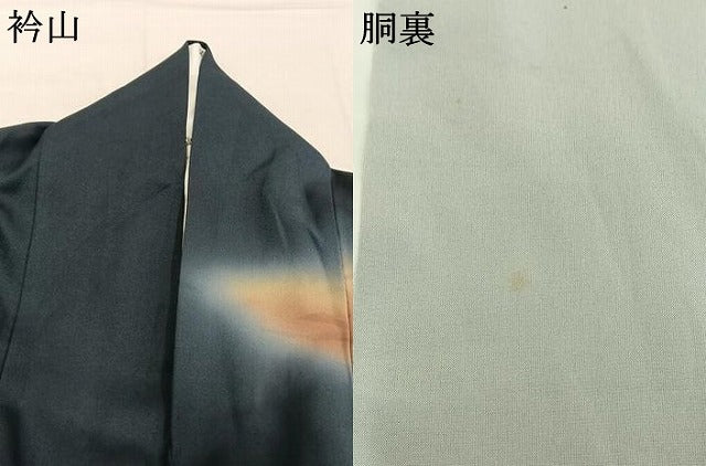 平和屋着物●訪問着 舞蝶文 暈し染め 金銀彩 正絹 逸品 AABL8204fy