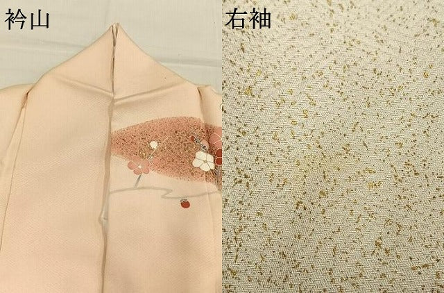 平和屋着物●訪問着 駒刺繍 草花文 金彩 ロング丈 正絹 逸品 AABL8453fy