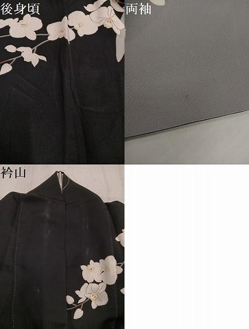 平和屋着物●訪問着 作家物 駒刺繍 胡蝶蘭 暈し染め 黒地 金彩 正絹 逸品 AABL8894ph