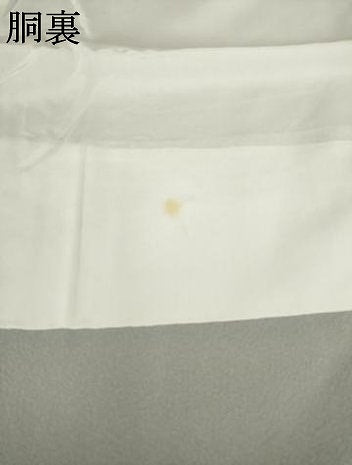 平和屋着物●豪華色留袖 流水風景文 金銀彩 正絹 逸品 AABL9340ck