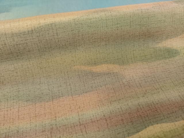 平和屋着物●本場大島紬 染大島 訪問着 霞文 暈し染め 正絹 逸品 AABM0084ck
