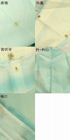 平和屋着物*夏物 訪問着 絽 草花文 暈し染め 銀彩 洗える着物 AABM1085jd