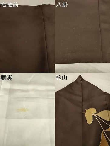 平和屋着物●訪問着 花蔦草文 金彩 ロング丈 正絹 逸品 AABM3074ck