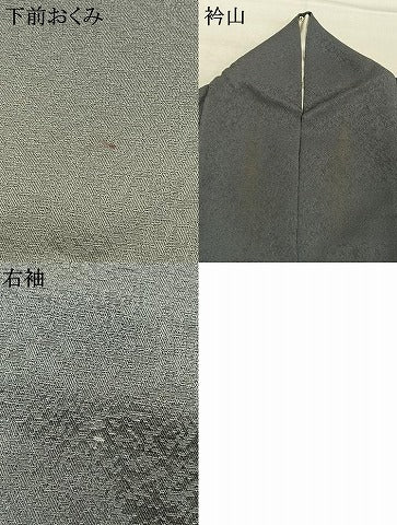 平和屋着物●友禅作家 山口倫由 訪問着 雀 銀杏 暈し染め さが美扱い 正絹 逸品 AABM3778fy