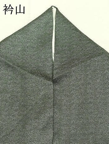 平和屋着物●江戸小紋 鮫小紋柄 黒地 正絹 逸品 AABM3969fy