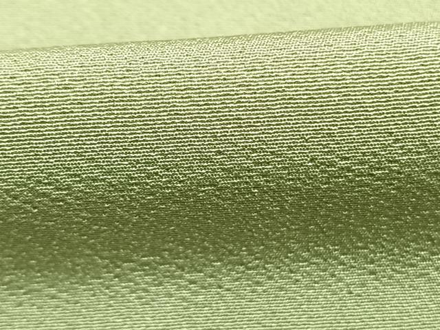 平和屋着物●上質な色無地 夏虫色 正絹 逸品 AABM4082fy