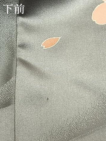平和屋着物●訪問着 花鳥文 暈し染め 金彩 ロング丈 正絹 逸品 AABM4190fy