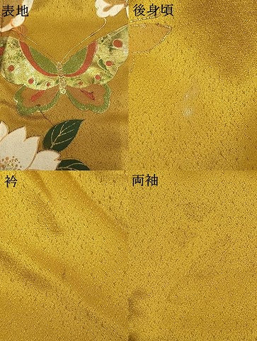 平和屋着物●豪華振袖 花蝶文 暈し染め 金彩 正絹 逸品 AABM4235fy