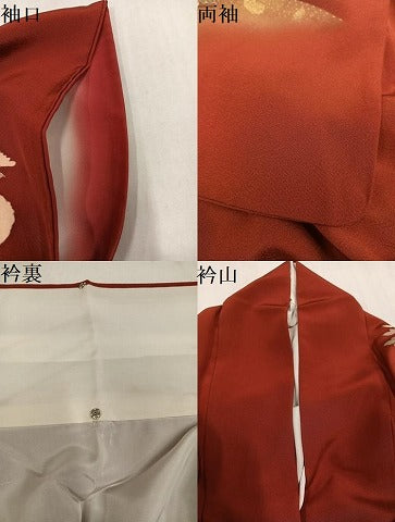 平和屋着物●訪問着 枝菊 金彩 正絹 逸品 AABM5048ph