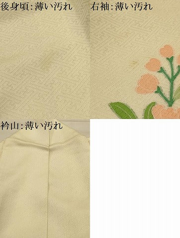 平和屋着物■訪問着 刺繍 花鏡裏文 金糸 金彩 正絹 逸品 AABM7485sx