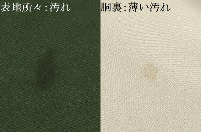 平和屋着物■小振袖 二尺袖 手描き 草花文 金彩 洗える着物 AABM7549sx