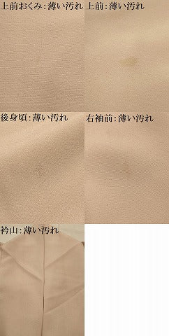 平和屋着物■訪問着 仕覆花文 暈し染め 金彩 正絹 逸品 AABM7647sx