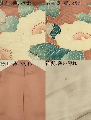平和屋着物■訪問着 枝花文 正絹 逸品 AABM7699sx