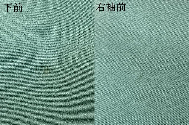 平和屋着物●訪問着 草花文 暈し染め 金彩 正絹 逸品 AABM8200fy