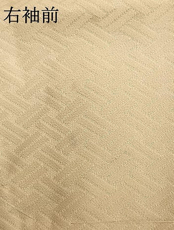 平和屋着物●訪問着 草花文 金彩 高島屋扱い 正絹 逸品 AABM8387fy