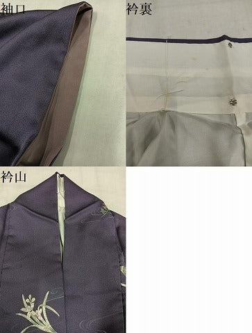 平和屋着物●上質な小紋 流水草花文 金銀彩 正絹 逸品 AABM8875ph