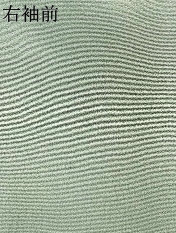 平和屋着物●豪華色留袖 作家者 飛鶴松花文 暈し染め 金彩 正絹 逸品 AABN3713fy