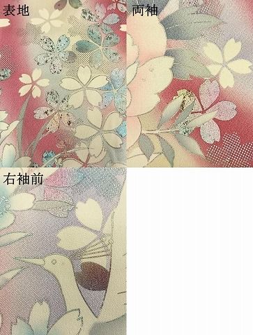平和屋着物●豪華振袖 花鳥文 暈し染め 銀彩 正絹 逸品 AABN3844fy