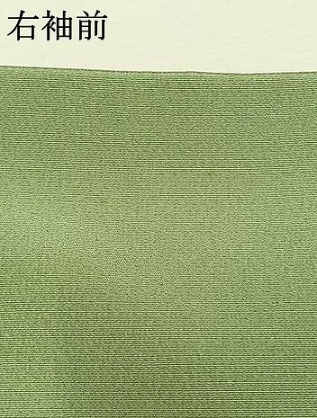 平和屋着物●中国人間国宝 将雪英 訪問着 総刺繍 楽器花文 金糸 正絹 逸品 AABN3859fy