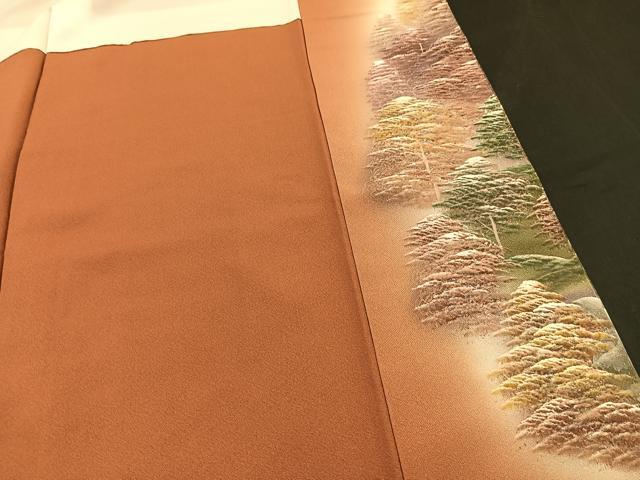 平和屋着物■豪華色留袖 手描き 水辺樹林文 暈し染め 正絹 逸品 BAAQ5251gt