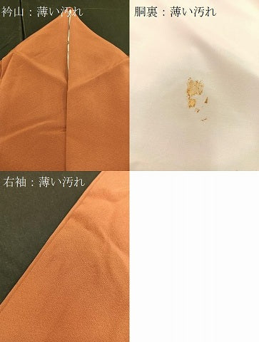 平和屋着物■豪華色留袖 手描き 水辺樹林文 暈し染め 正絹 逸品 BAAQ5251gt