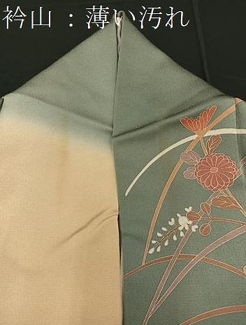 平和屋着物■訪問着 駒刺繍 花蝶丸文 暈し染め 金彩 正絹 逸品 BAAQ7378hv