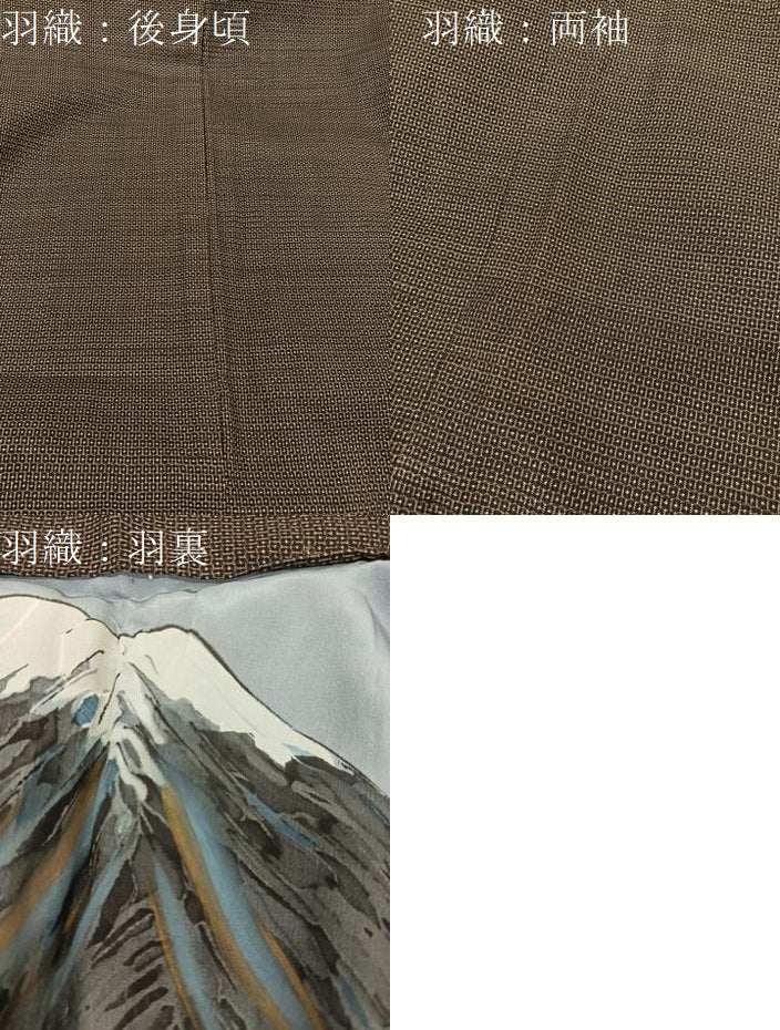 平和屋着物●男性 本場大島紬 アンサンブル 長羽織 100亀甲 総詰め 正絹 逸品 未使用 BAAT0931yc