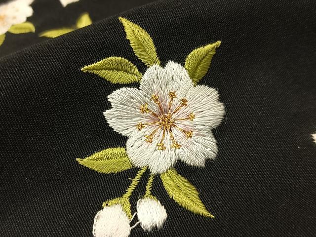 平和屋着物●女性 行灯袴 総刺繍 桜 暈し染め 金糸 洗える着物 BAAU3743hj