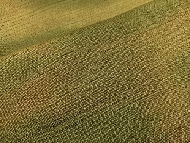 平和屋着物■上質な紬 幾何学文様 正絹 逸品 BAAV0855mz