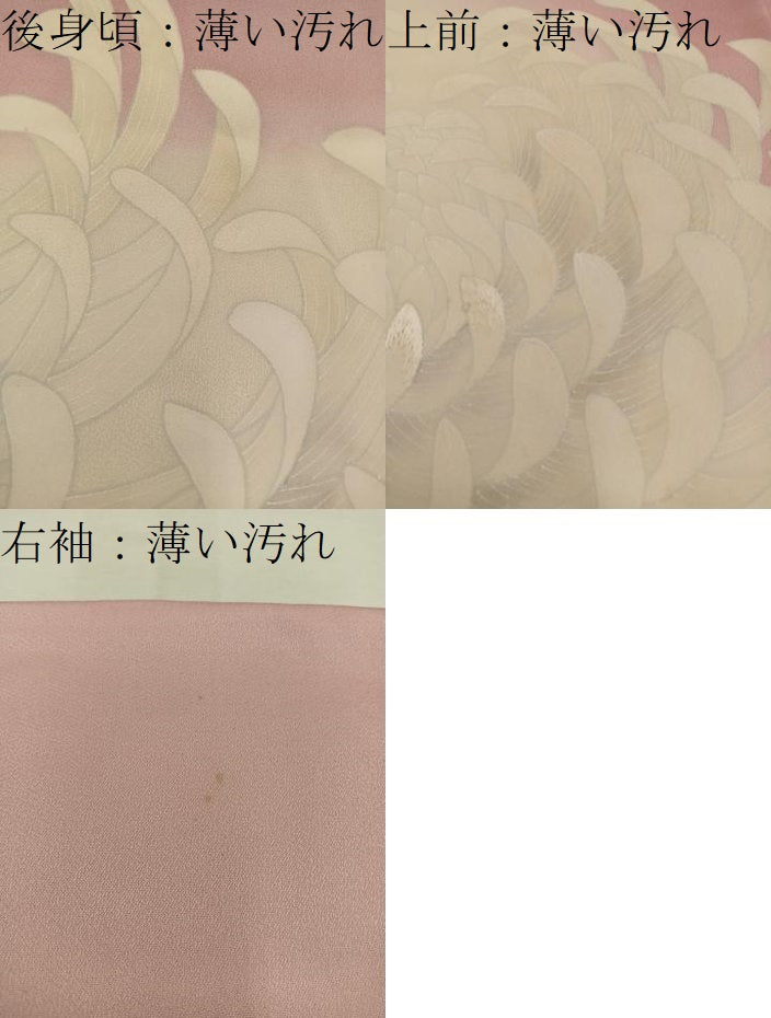 平和屋着物■色留訪問着 乱菊 暈し染め 正絹 逸品 BAAV8175mz