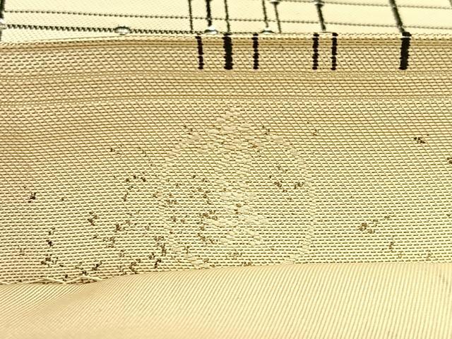 平和屋着物◎六通柄袋帯 格子柄 銀糸 正絹 逸品 BAAW0320hj