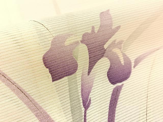 平和屋着物*夏物 小紋 絽 杜若 正絹 逸品 BAAW0956hj