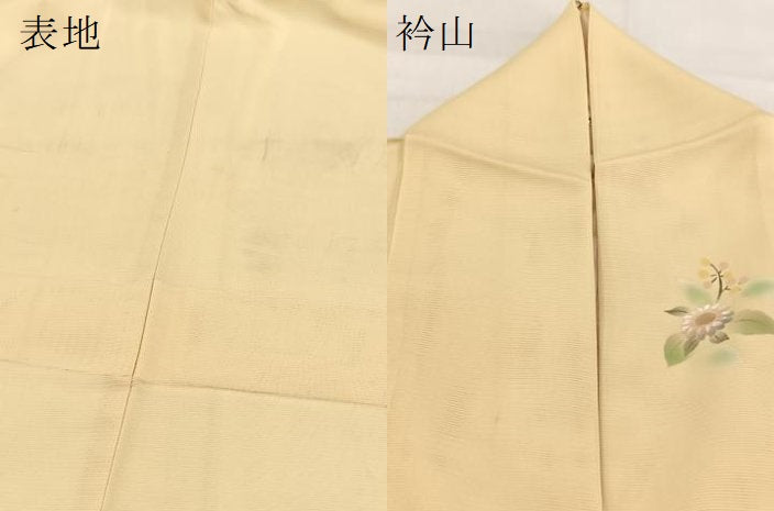 平和屋着物*夏物 訪問着 絽 手描き 草花文 暈し染め 正絹 逸品 BAAW2224yc