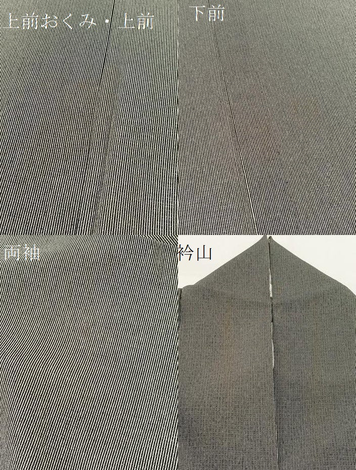 平和屋着物*夏物 江戸小紋 絽縮緬 万筋 黒色×白色 正絹 逸品 BAAW2240yc