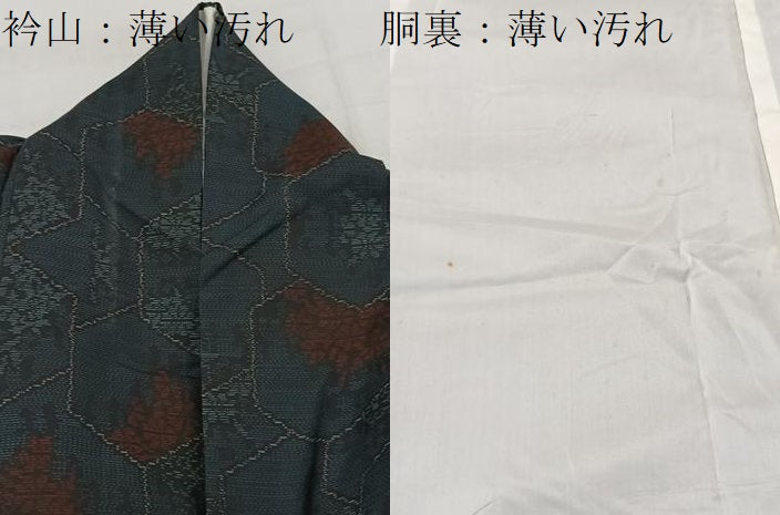 平和屋着物■本場大島紬 亀甲花文 正絹 逸品 BAAW2287yc
