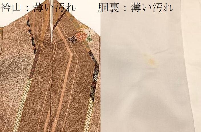 平和屋着物■上質な小紋 吉祥花文 たたき染め 金彩 正絹 逸品 BAAW2342yc