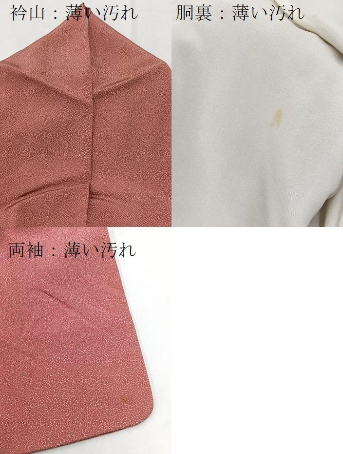 平和屋着物■江戸小紋 寄せ小紋柄 正絹 逸品 BAAW2434yc