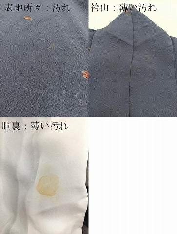 平和屋着物■上質な小紋 総刺繍 宝尽くし文 金糸 正絹 逸品 BAAW2868yc