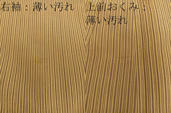 平和屋着物■上質な小紋 縞 正絹 逸品 BAAW3594mz