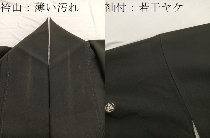 平和屋着物■豪華黒留袖 駒刺繍 本草木染 籬草花文 金彩 無落款 正絹 逸品 BAAW4705hv