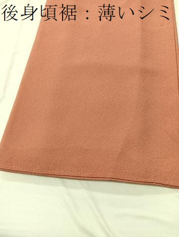平和屋着物■上質な色無地 作家物 本草木染 曙色 正絹 逸品 BAAW4764hv