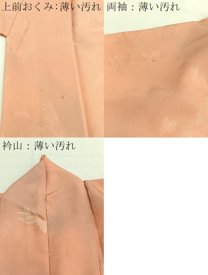 平和屋着物■上質な小紋 地紋起こし 風景文 暈し染め 正絹 逸品 BAAW4816hv