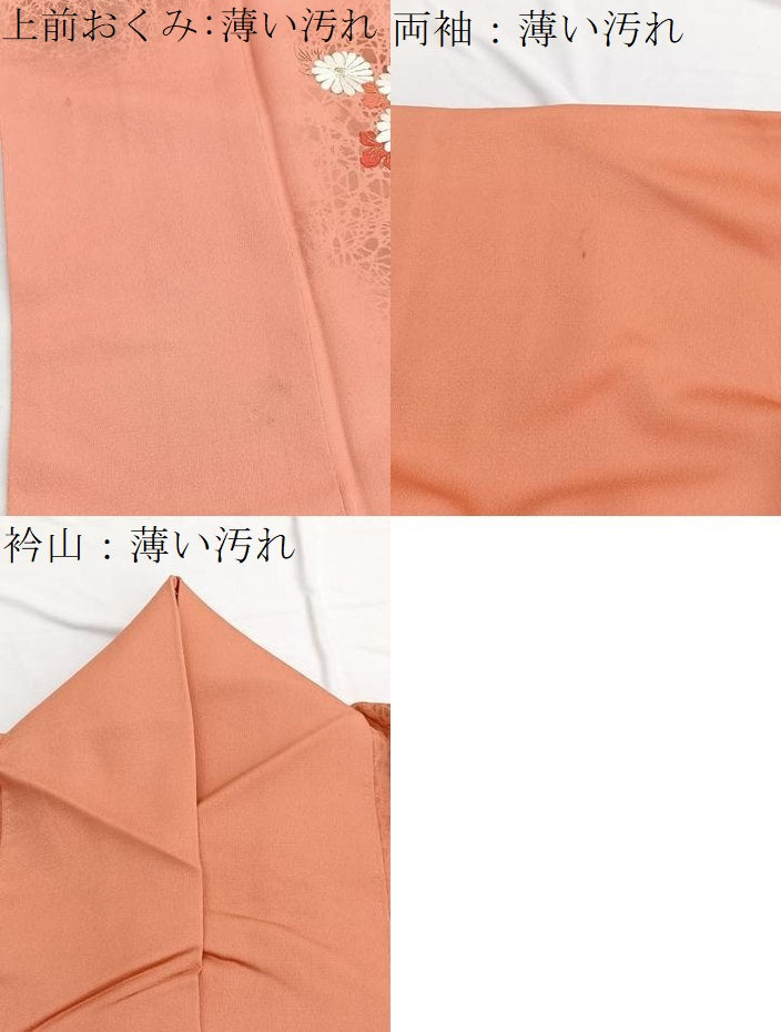 平和屋着物■訪問着 刺繍 籬菊文 金銀彩 正絹 逸品 BAAW4894hv
