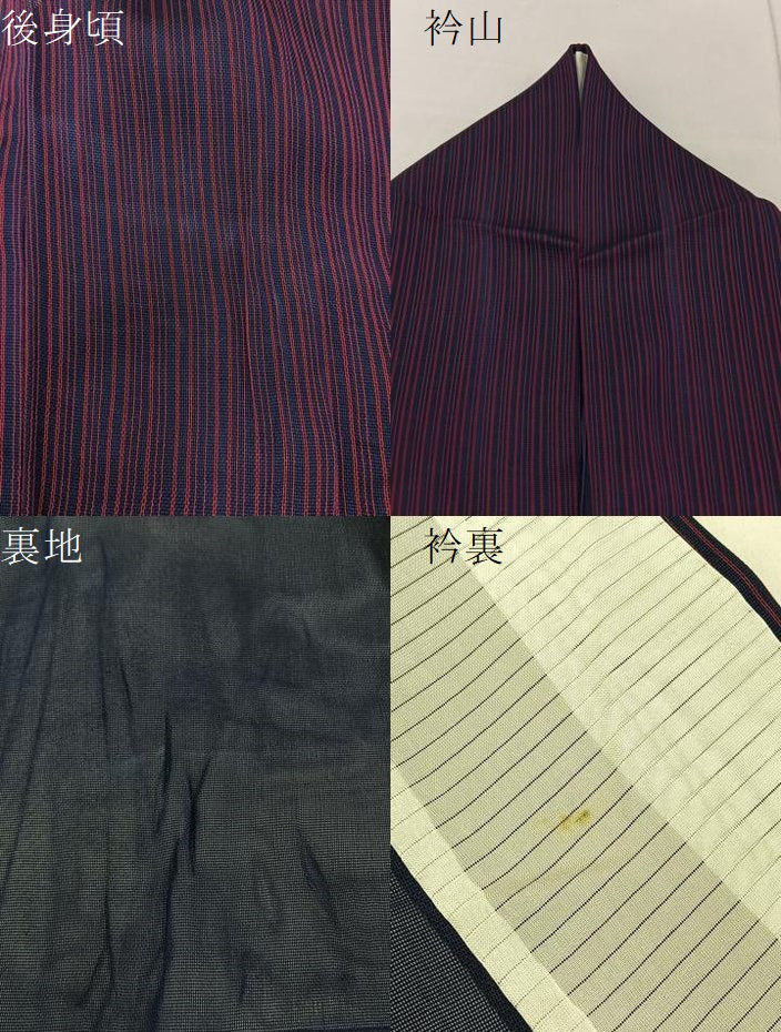 平和屋着物*夏物 小紋 紗 縞 正絹 逸品 BAAW5077hj