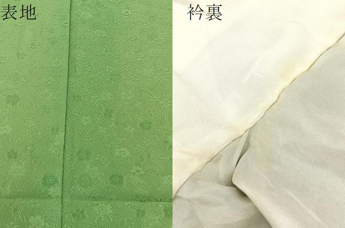 平和屋着物●上質な色無地 花地紋 薄萌黄色 やまと誂製 正絹 逸品 BAAW5184hj