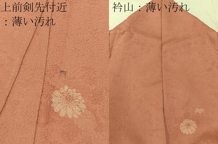 平和屋着物■上質な小紋 菊花文 金糸 正絹 逸品 BAAW5253hj